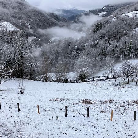 La So Casa -En El Corazon De Asturias Villa Armiello Esterno foto