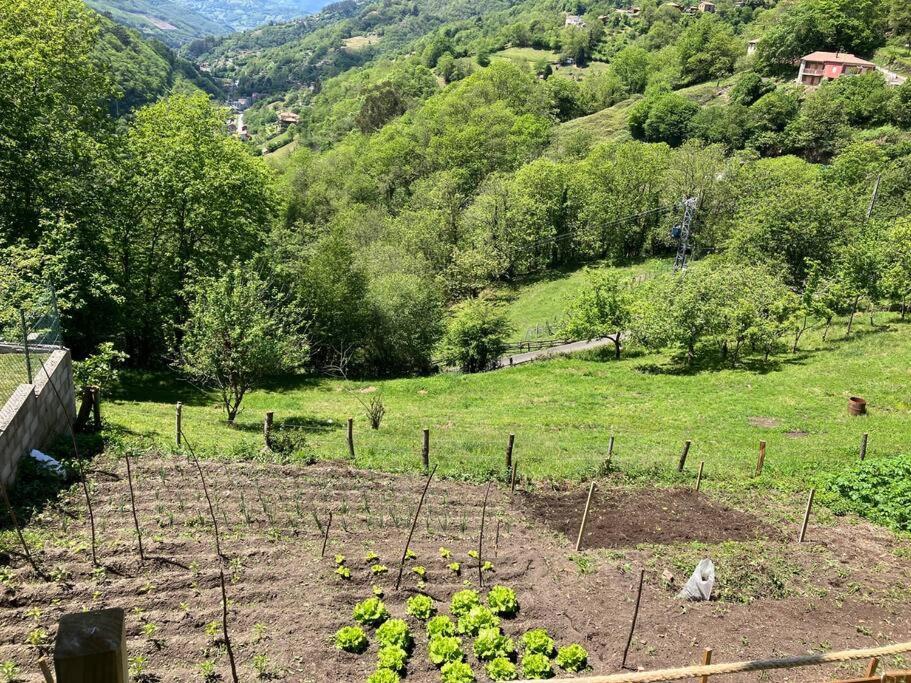 La So Casa -En El Corazon De Asturias Villa Armiello Esterno foto