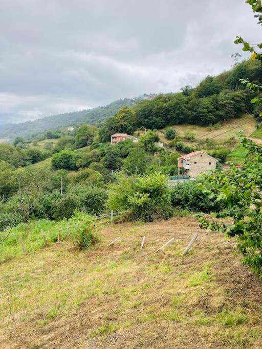 La So Casa -En El Corazon De Asturias Villa Armiello Esterno foto