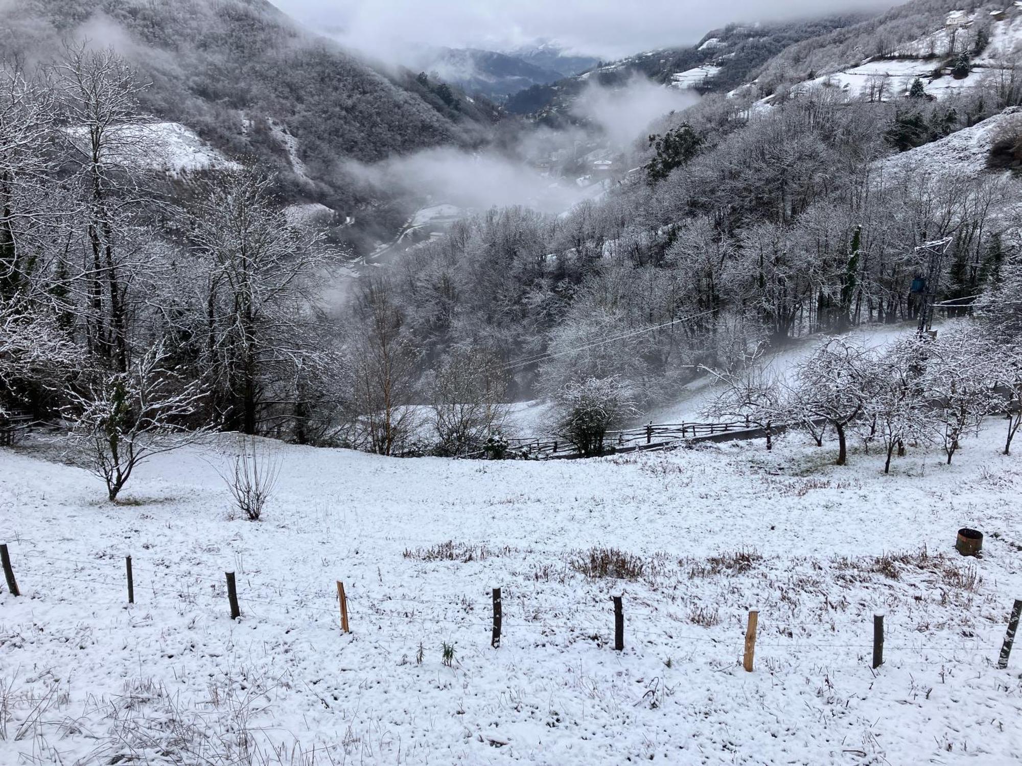 La So Casa -En El Corazon De Asturias Villa Armiello Esterno foto